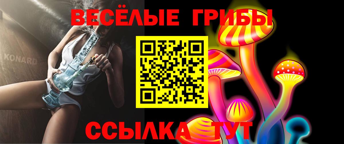 как найти   Галлюциногенные грибы мухоморы  Вход с VPN  Гуково 