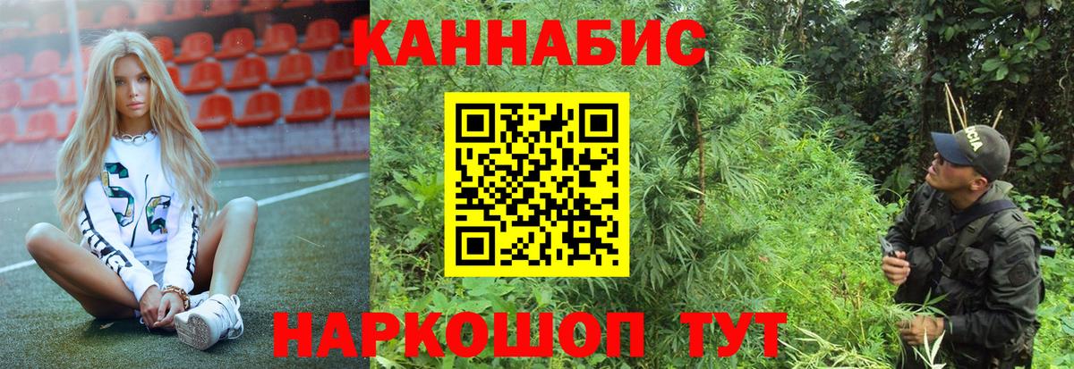 Конопля конопля Гуково